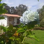 alto palmas 2.0