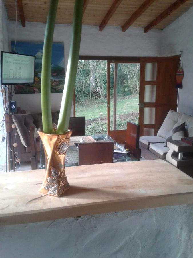 Alto Palmas 2.0 *