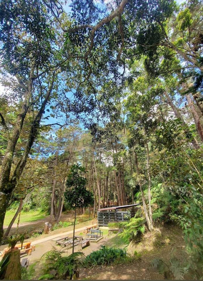 Alto Palmas 2.0 * Medellín